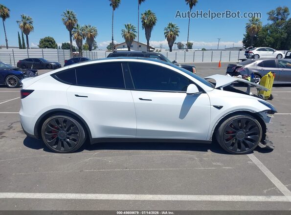 7SAYGDEF9RF081035 2024 TESLA MODEL Y Белый Вид задней части салона