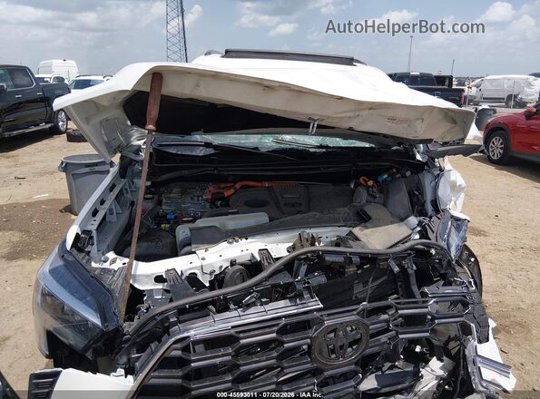 7SVAAABA4PX018280 2023 TOYOTA SEQUOIA Белый Вид сзади