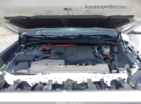 7SVAAABA9RX030248 2024 TOYOTA SEQUOIA White Widok z tyłu