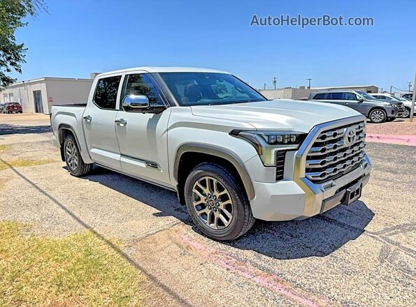 5TFMA5DB1SX239431 2025 TOYOTA TUNDRA White Tył lewy