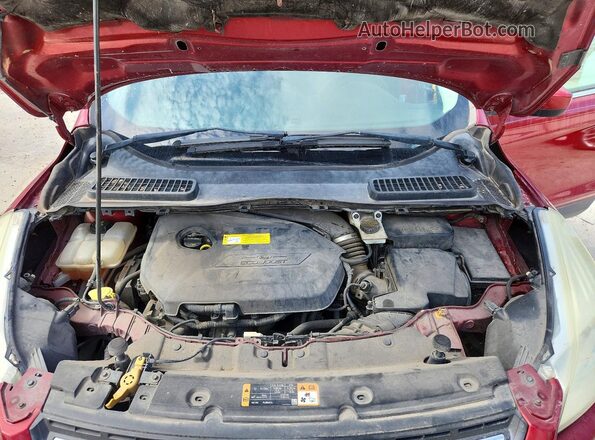 1FMCU0GX5GUC25758 2016 FORD ESCAPE Red Vista de la etiqueta del VIN