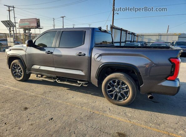 5TFNC5DB9SX103272 2025 TOYOTA TUNDRA Gray Հետևի աջ
