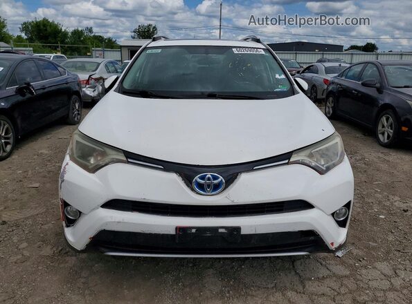 JTMRJREV2GD033095 2016 TOYOTA RAV4 White Vista trasera