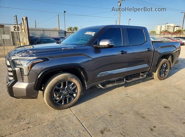 5TFNC5DB9SX103272 2025 TOYOTA TUNDRA Gray Հետևի ձախ