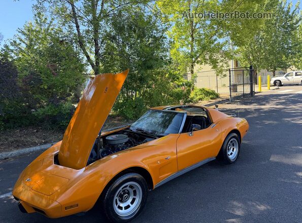1Z37L7S410519 1977 CHEVROLET CORVETTE Оранжевый Вид задних сидений
