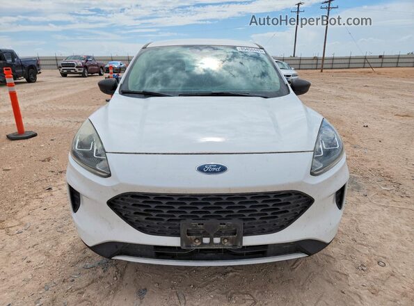 1FMCU0F66LUA55039 2020 FORD ESCAPE White უკანა ხედი