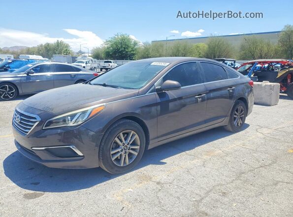 5NPE24AF5HH484336 2017 HYUNDAI SONATA Коричневый Задняя левая четверть
