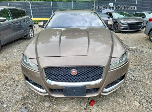 SAJBD4BV1GCY24502 2016 JAGUAR XF Brown Widok z tyłu