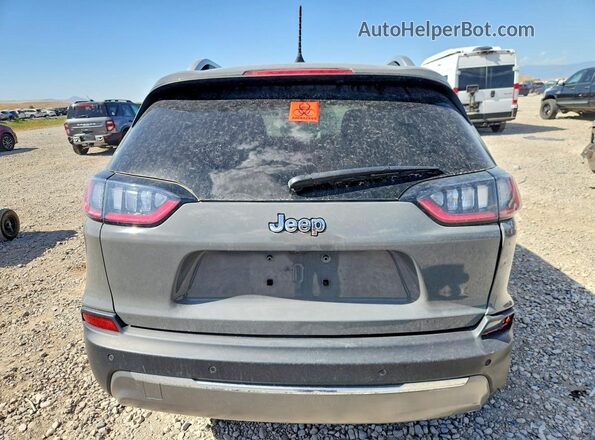 1C4PJLDB7LD623993 2020 JEEP CHEROKEE Gray წინა სალონის ხედი
