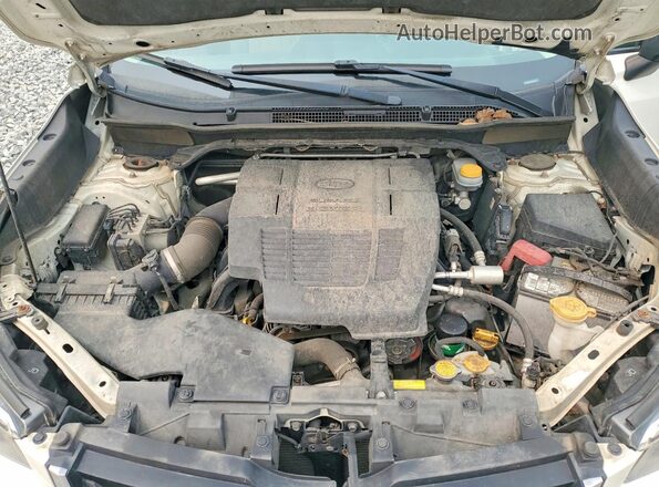 JF2SKACC7KH588371 2019 SUBARU ACCENT White Vista de la etiqueta del VIN