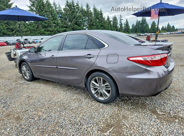 4T1BF1FK1HU767412 2017 TOYOTA CAMRY Серый Задняя правая четверть