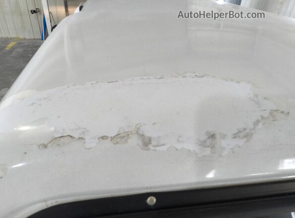 1FTMF1C85HKD20339 2017 FORD F150 White 