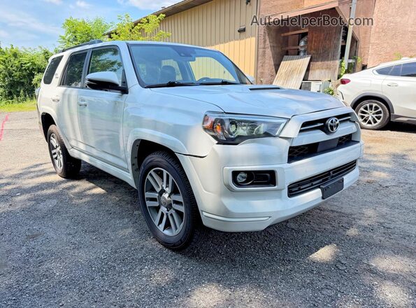 JTESU5JR6N5991248 2022 TOYOTA 4RUNNER White უკანა მარცხენა