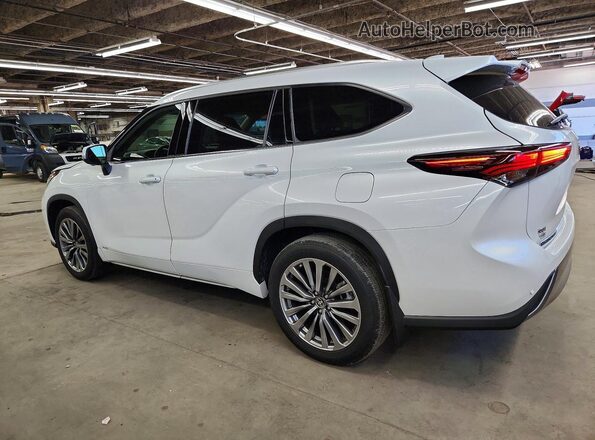 5TDKBRCH8SS648596 2025 TOYOTA HIGHLANDER White უკანა მარჯვენა
