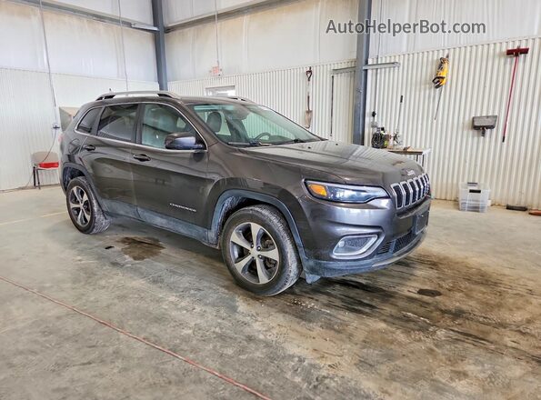 1C4PJMDN1KD207615 2019 JEEP CHEROKEE Серый Вид спереди