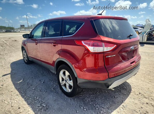 1FMCU0G74GUC28957 2016 FORD ESCAPE Red Trasero derecho