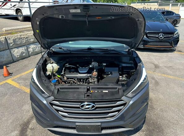 KM8J3CA25JU691996 2018 HYUNDAI TUCSON Blue უკანა სავარძლების ხედი