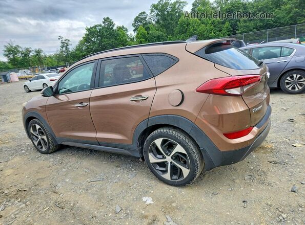 KM8J3CA22GU041905 2016 HYUNDAI TUCSON Brown Rear right