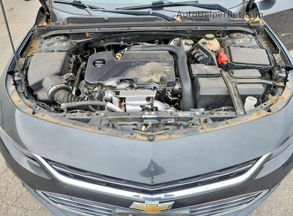 1G1ZB5ST9HF251395 2017 CHEVROLET MALIBU Gray უკანა სალონის ხედი