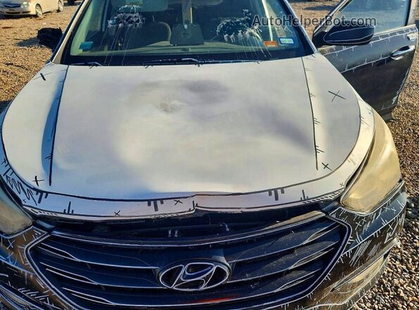 5XYZU3LB2HG398506 2017 HYUNDAI SANTA Black Vista de la etiqueta del VIN