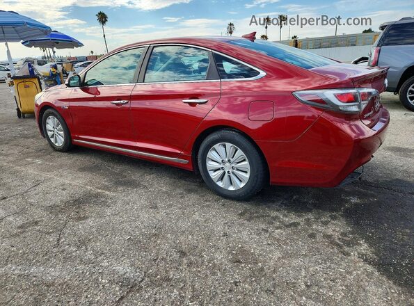KMHE24L17GA009192 2016 HYUNDAI SONATA Red Rear right