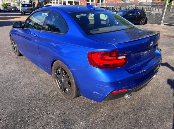 WBA1J9C53GV371709 2016 BMW M2 Blue Trasero derecho
