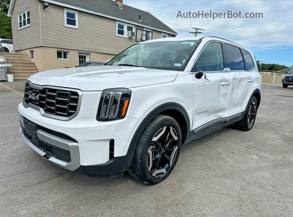 5XYP64GC4SG639970 2025 KIA TELLURIDE White Tył lewy