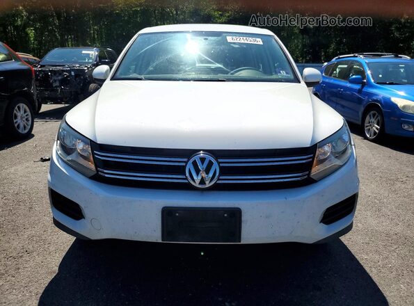 WVGBV7AX1HK052702 2017 VOLKSWAGEN TIGUAN White Вид ззаду