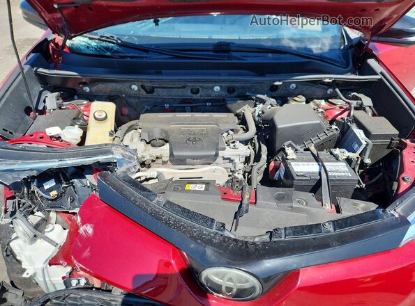 JTMNFREV0JD124681 2018 TOYOTA RAV4 Red VIN sticker view