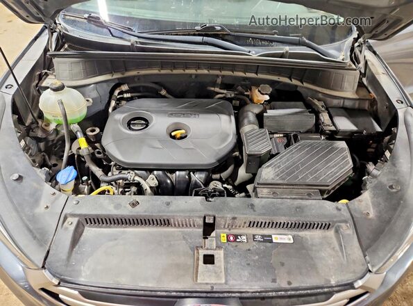 KM8J33A48JU597421 2018 HYUNDAI TUCSON Gray Widok naklejki z numerem VIN