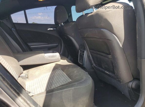 2C3CDXGJ5LH107204 2020 DODGE CHARGER Gray Вид задніх сидінь
