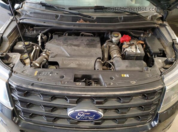 1FM5K8GT7HGB66397 2017 FORD EXPLORER Black VIN կոդի պիտակի տեսք