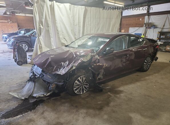 1N4BL4DVXRN431027 2024 NISSAN ALTIMA Purple 