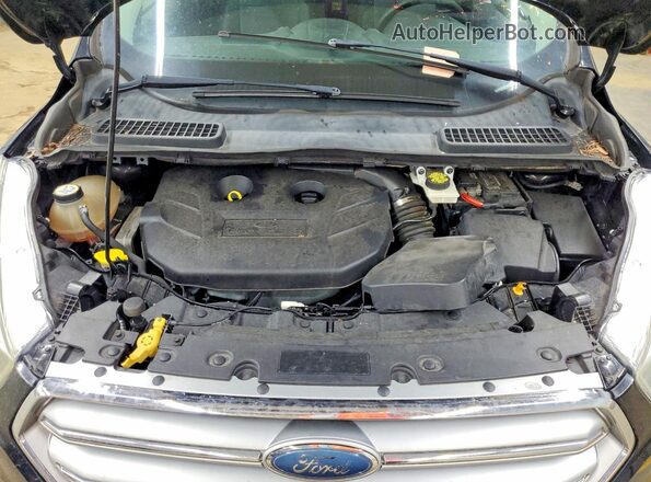 1FMCU0G98HUC89070 2017 FORD ESCAPE Black VIN կոդի պիտակի տեսք