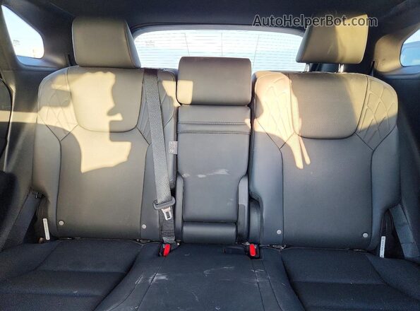 2T2BAMBA9RC042684 2024 LEXUS RX Белый Вид задней части салона