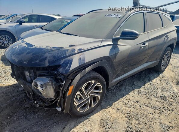 KM8JEDD11SU327014 2025 HYUNDAI TUCSON Blue Հետևի ձախ