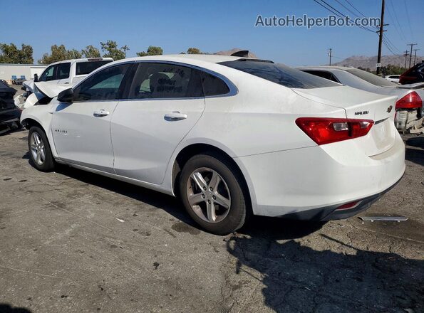 1G1ZB5ST3KF204600 2019 CHEVROLET MALIBU White Tył lewy