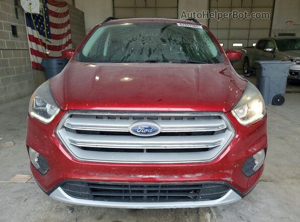 1FMCU0HD3KUA50620 2019 FORD ESCAPE Красный Вид сзади