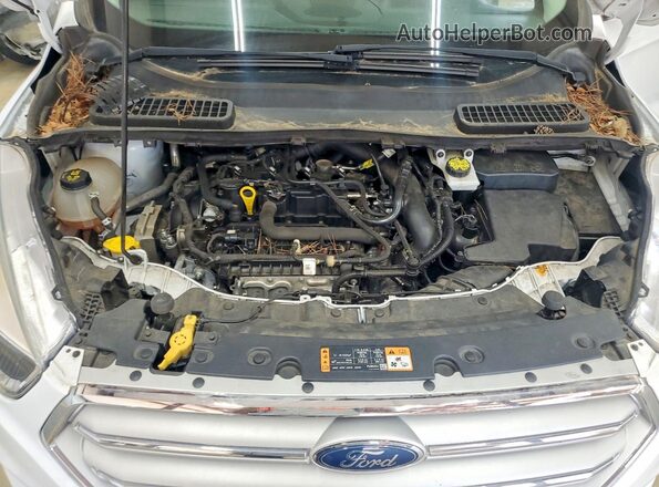 1FMCU0GD8KUA88569 2019 FORD ESCAPE White VIN კოდის სტიკერის ხედი