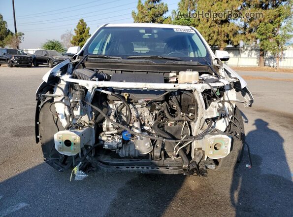 1GNERGKWXKJ124061 2019 CHEVROLET TRAVERSE White Widok z tyłu