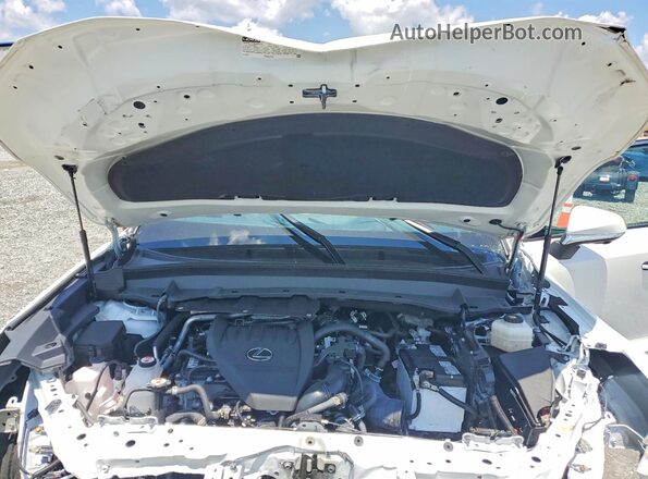 5TDAAAB66RS018571 2024 LEXUS TX 350 LUX White VIN կոդի պիտակի տեսք