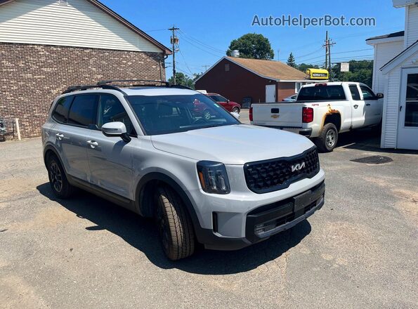5XYP5DGC7RG423608 2024 KIA TELLURIDE Gray Դիմացի տեսք
