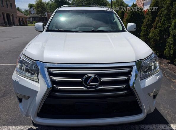 JTJBM7FX8J5186981 2018 LEXUS GX Белый Вид сзади