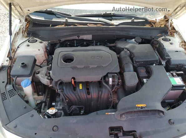 KNAGT4L3XG5098984 2016 KIA OPTIMA White Вид підкапотного простору