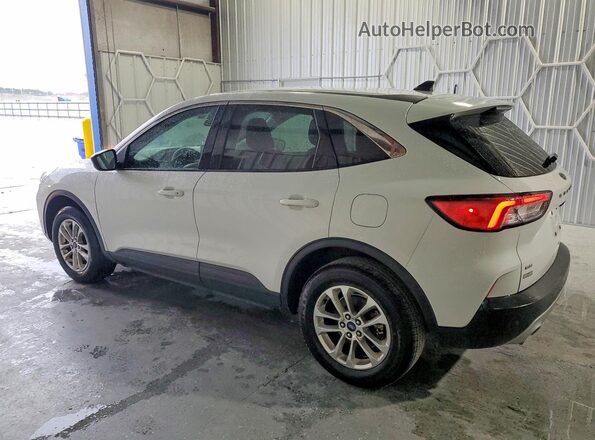 1FMCU9G65NUB30660 2022 FORD ESCAPE White უკანა მარჯვენა