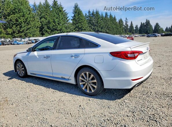 5NPE34AF4GH396955 2016 HYUNDAI SONATA White Tył prawy