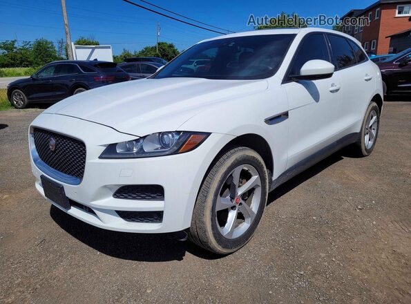 SADCJ2BN0HA092722 2017 JAGUAR F-PACE White Tył prawy