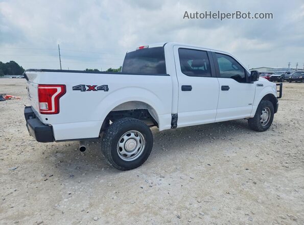 1FTEW1EG4HKD34810 2017 FORD F150 White წინა მარჯვენა