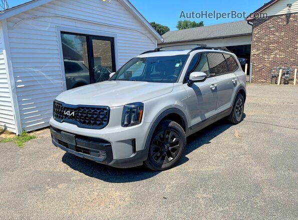 5XYP5DGC7RG423608 2024 KIA TELLURIDE Gray Հետևի ձախ