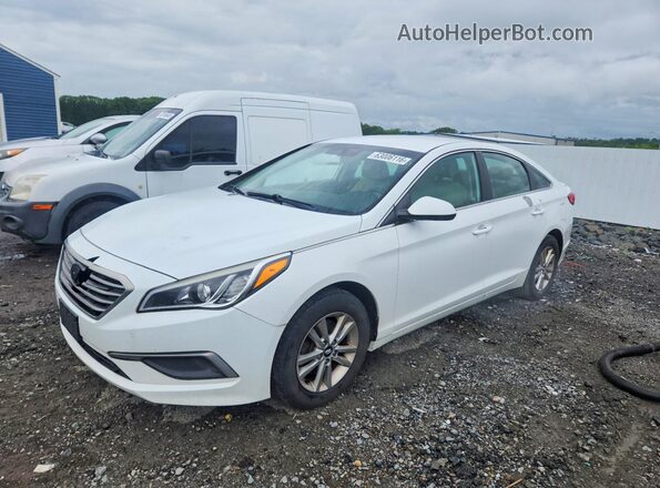 5NPE24AF9HH480712 2017 HYUNDAI SONATA White Tył lewy